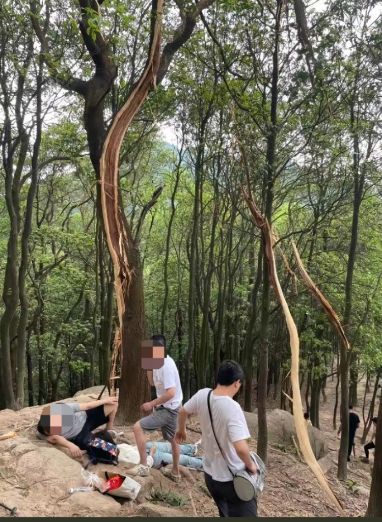 清明登高一女子被雷击倒地，目击者：胳膊瞬间麻了