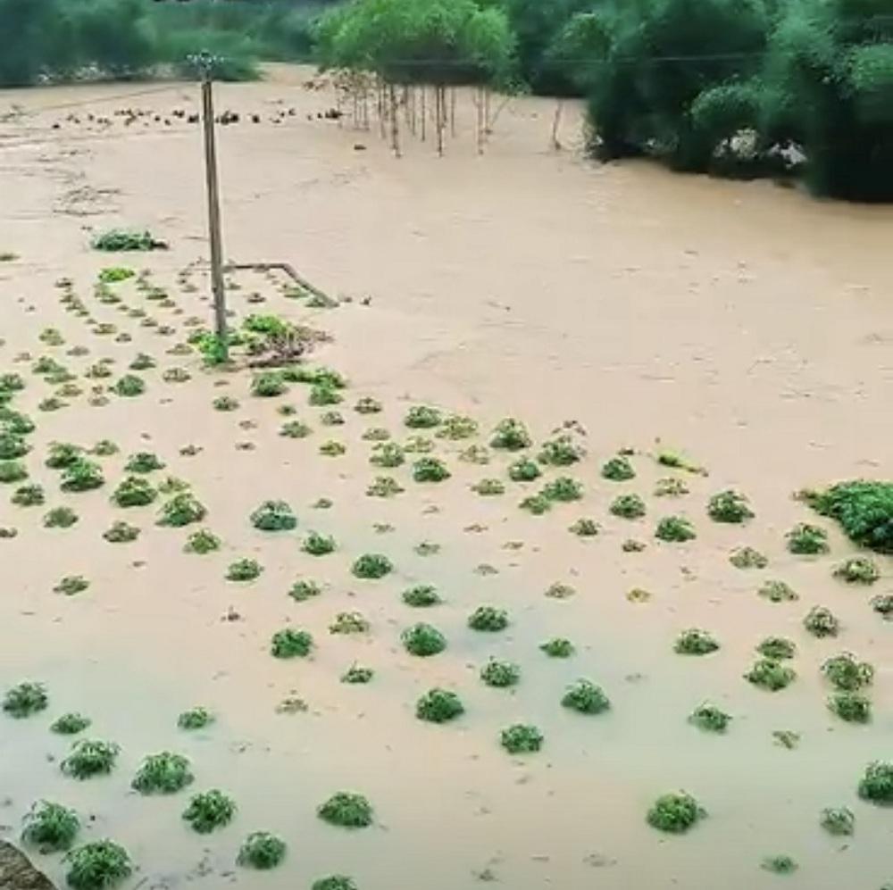 广西梧州强降雨致民房被淹河水暴涨，当地应急管理局：受灾情况不能告诉你！