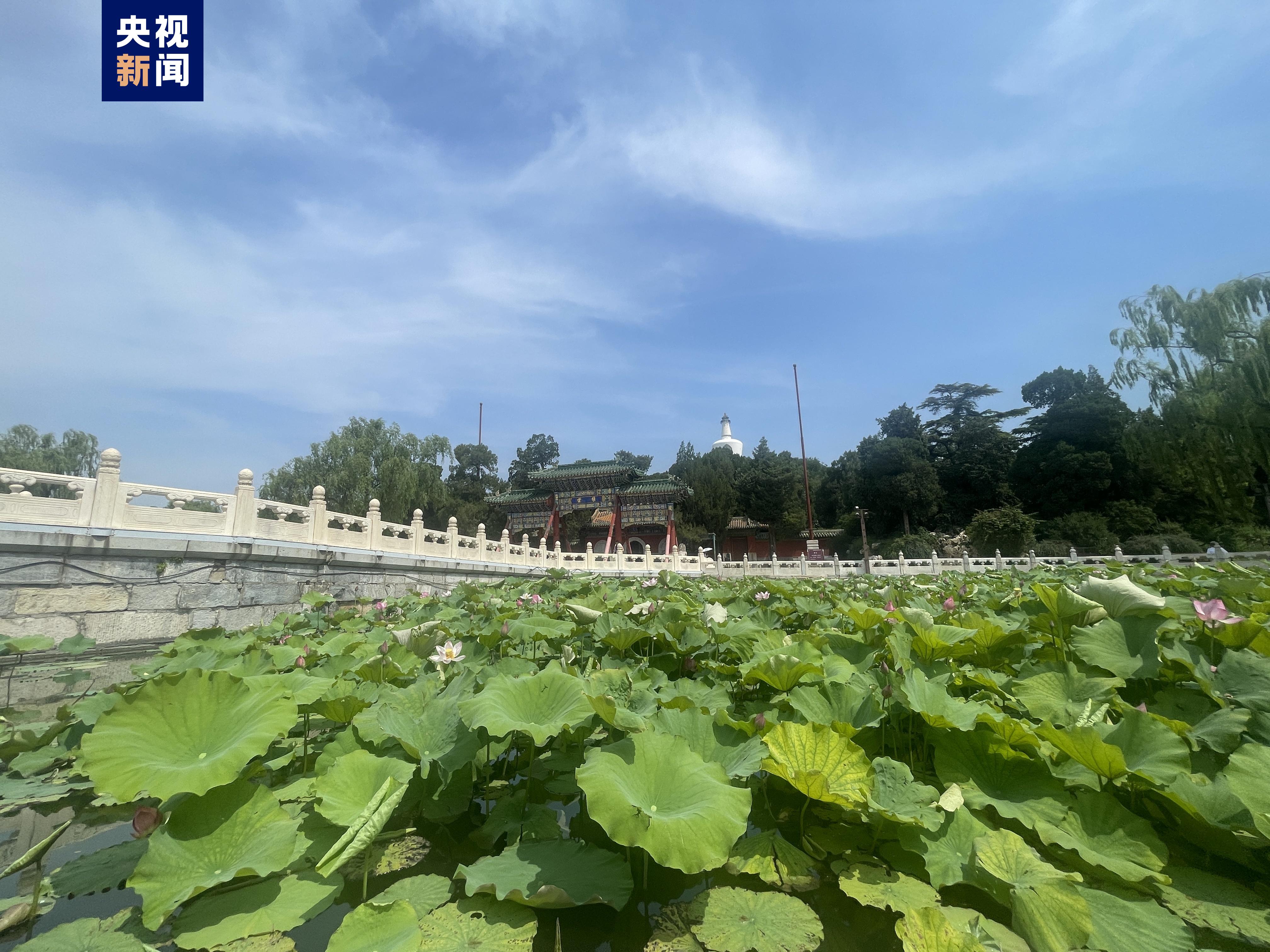 除故宫国博等（除故宫国博等之外,景区已全面取消预约要求）